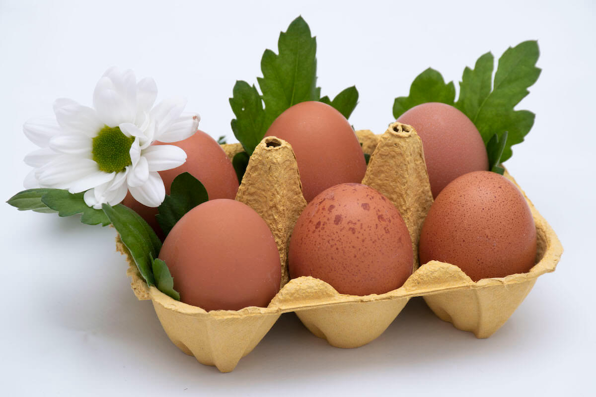Media docena de huevos con hojas y margarita